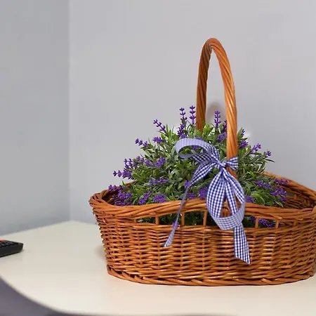 Apartment Elite *